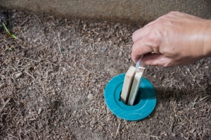 What are Termite Bait Systems?  